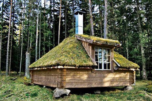 Cabaña de madera rústica aserrada y techo de césped.jpg