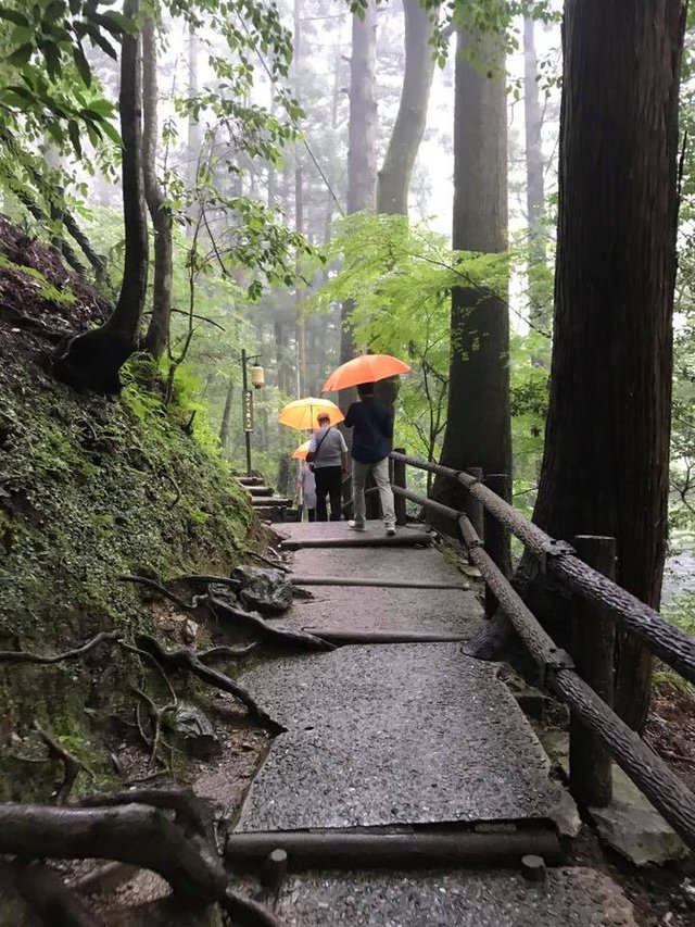 Kazura-Bashi at Miyoshi-shi, Tokushima, Japan 5.jpg