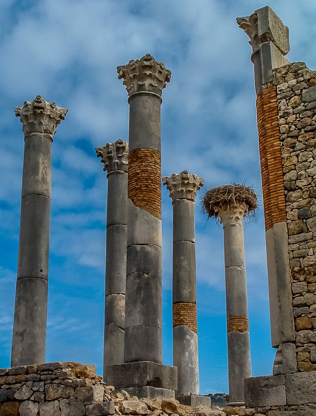 10_24_03_Volubilis_Capitol_04.jpg