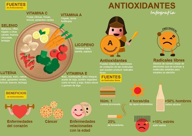 antioxidantes-infografia.jpg