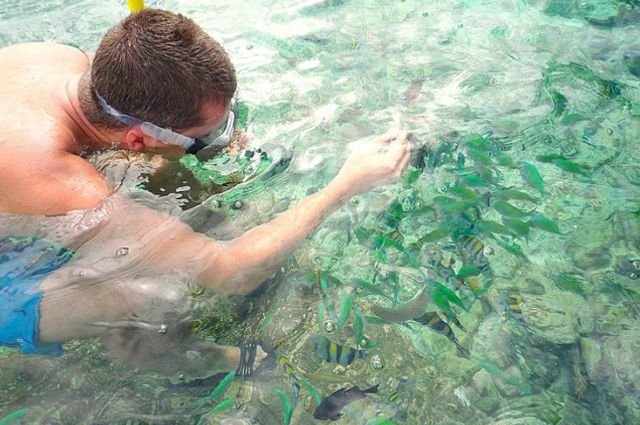 snorkeling-in-nalusuan-island.jpg