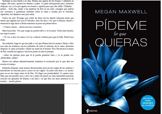 Pideme lo que quieras- Megan Maxwell1.png