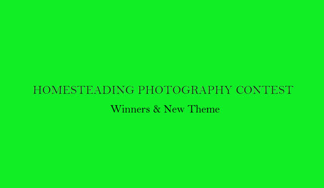Homesteading Photography Contest - Winners.png