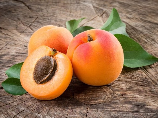 apricot.jpg