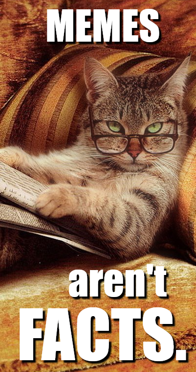 CAT3.png