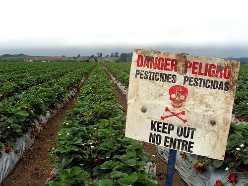 danger pesticides.jpg
