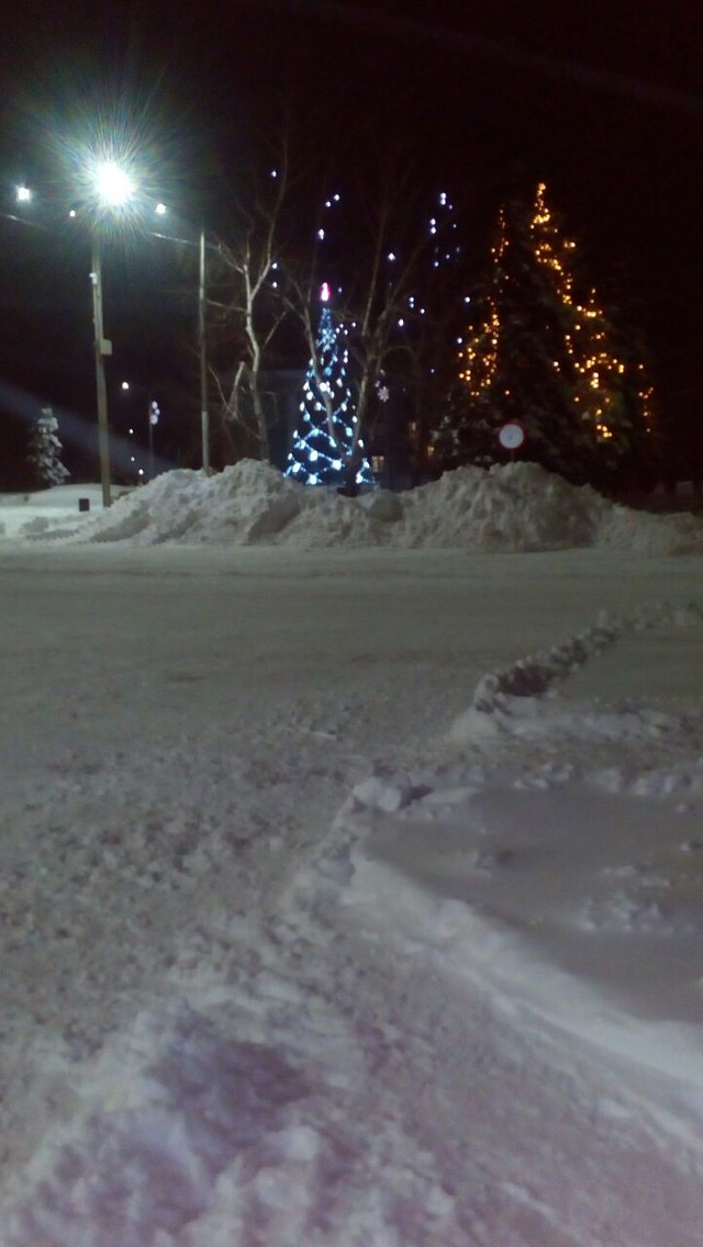 погуляли возле городской елки.jpg