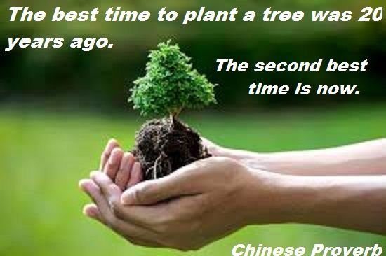 plant a tree.jpg