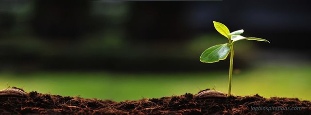 Awesome-plant-Nature-Facebook-Cover.jpg