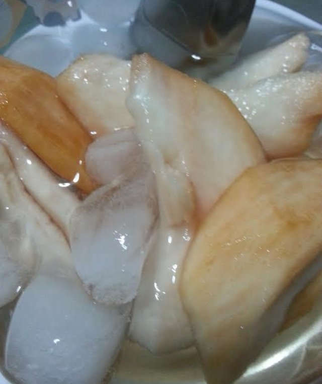 santol5.jpg