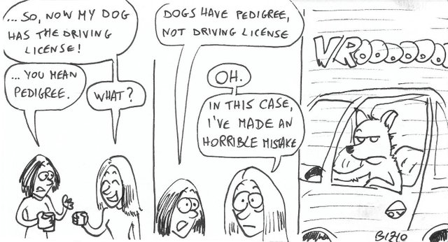 drivingLicense.jpg