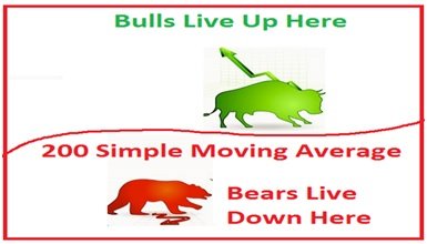 bulls live bears live.jpg