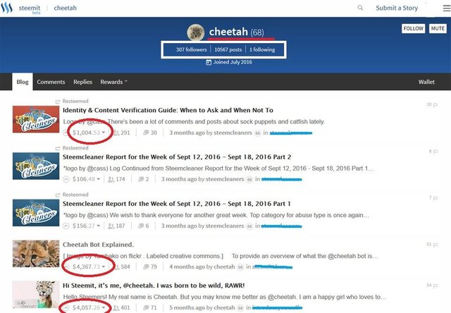 steemit-cheetah-scam-bot-blogs.jpg