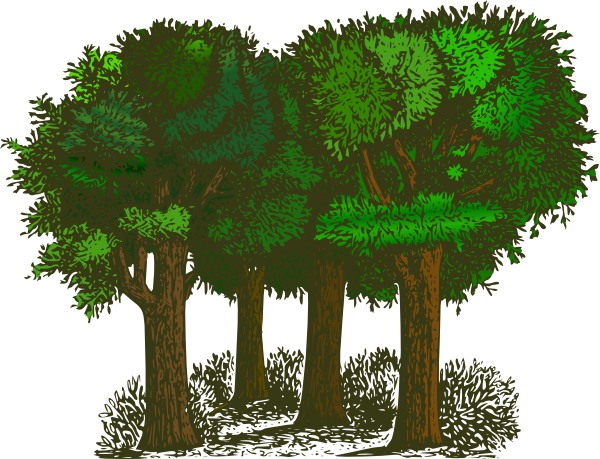 forest-cartoon-clipart-1.png