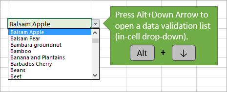 Alt-Down-Arrow-to-Open-Data-Validation-List.png