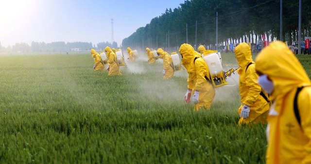 Pesticide-Spray-Agriculture-Farm-Farmer-Fertilizer-Field.jpg