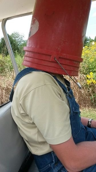 Buckethead.jpg