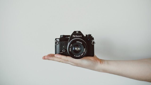 Photograph courtesy of Lilly Rum (@rumandraisin) from unsplash.com