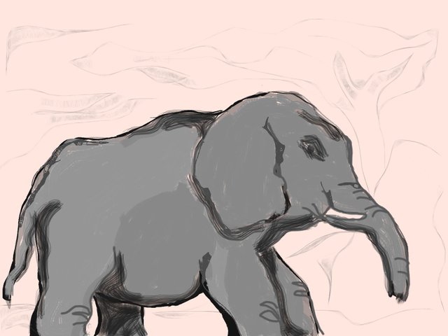 skecth elefant3.jpg