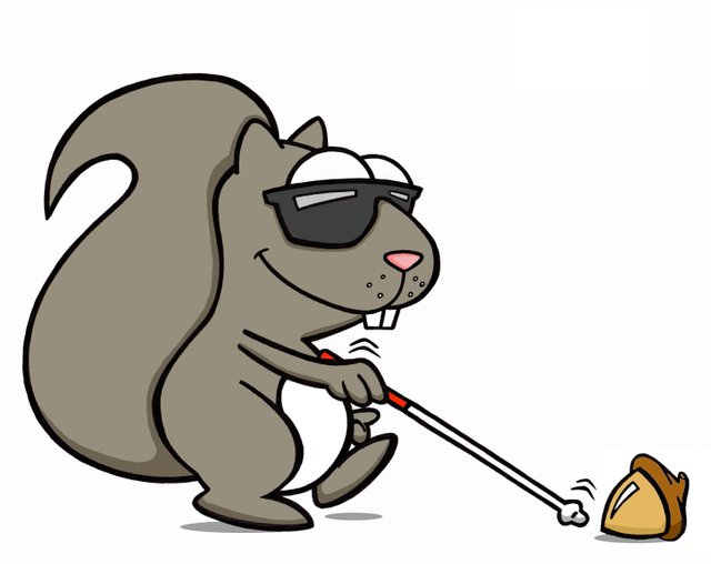 Blind Squirrel Logo.jpg