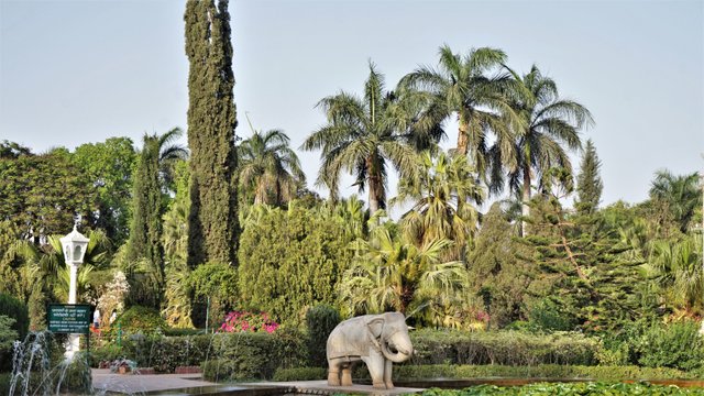 Udaipur Botanical garden I (1).jpg