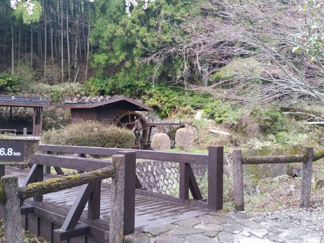 20180408_085130.jpg