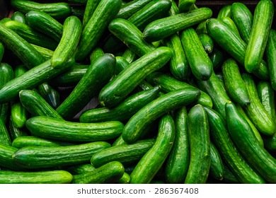 green-cucumbers-on-shelf-supermarket-260nw-286367408.jpg