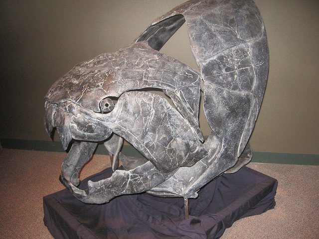 Armor Plated Sea Titans: The Placoderms and Dunkleosteus — Steemit