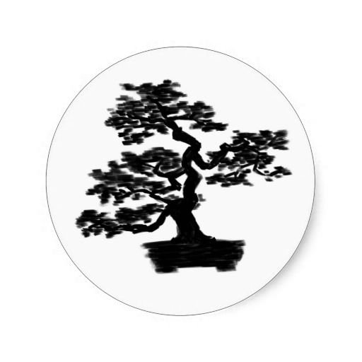 circulo-bonsai.jpg