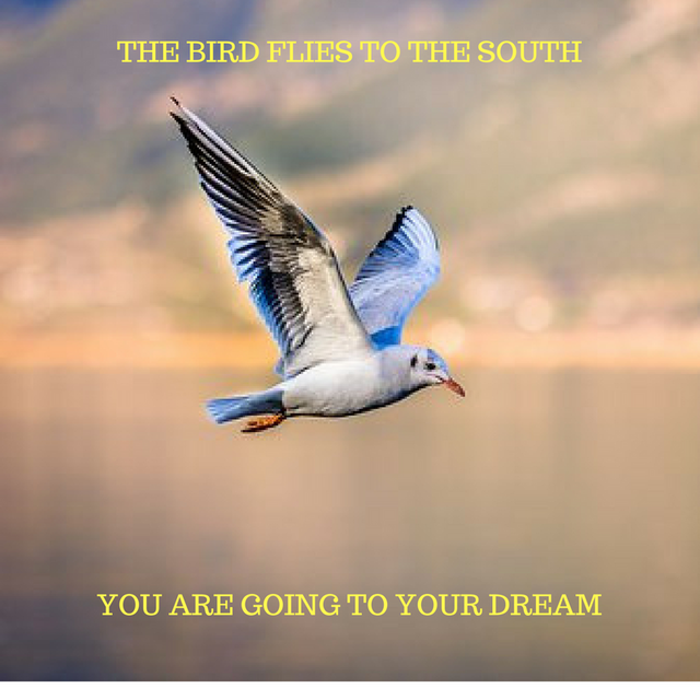 THE BIRD FLIES TO THE SOUTH.png