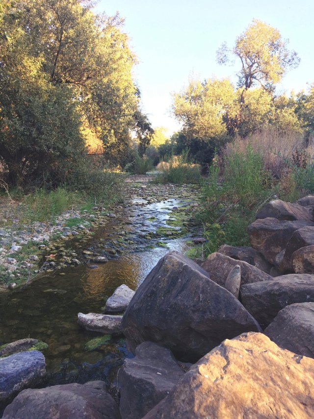 Nature Creek Trail - October California 003.JPG