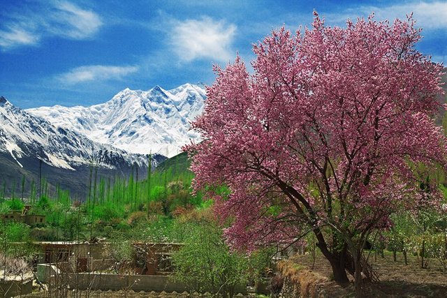 Hunza Autumn Tours .jpg