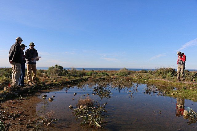 san diego vernal pool.jpg