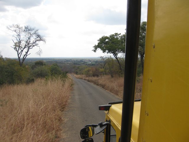 Truck safari, south luangwa, zambia.JPG