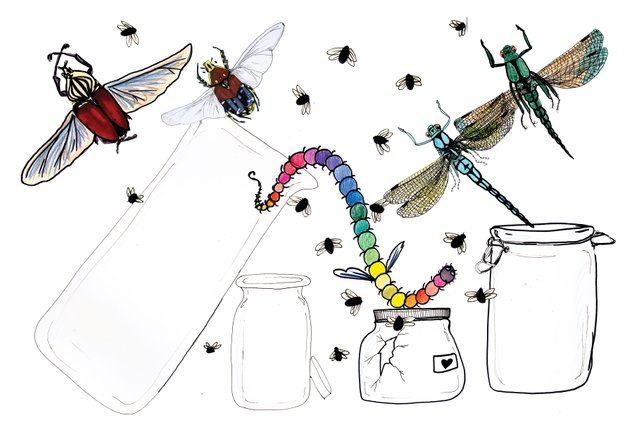 insects_out_jars_by_ajerf-d5xo8km.jpg