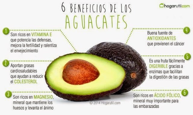 aguacate.jpg