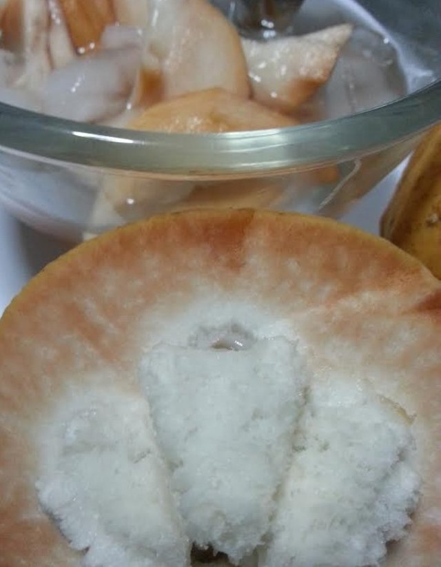 santol6.jpg