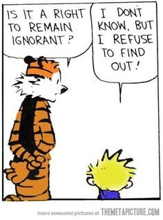 Calvin_Hobbes Ignorant.jpg