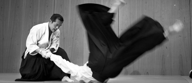 aikido.jpg