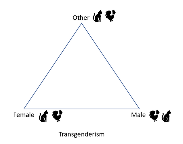 Notes for Feminist Religion_Transgenderism.PNG