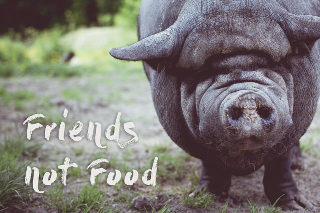 FriendsNotFood.jpg