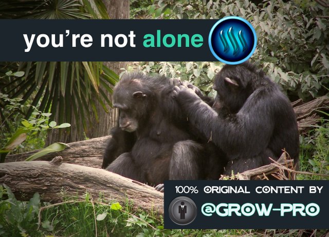 grow-pro-STEEMIT-POST-PREVIEW-not-alone.jpg