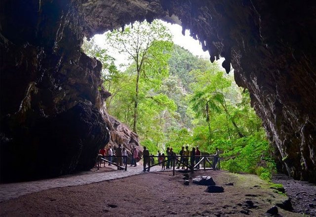 cueva_del_guacharo_MN_humboltd.jpg