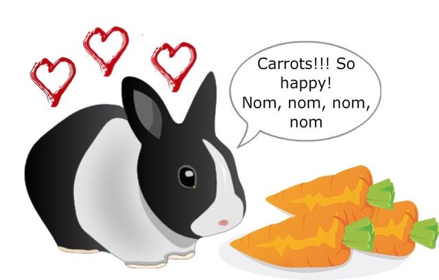 carrots 7 2.jpg