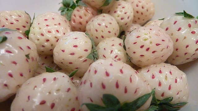 800px-Pineberries.jpg