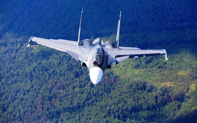 sukhoi_su_30_forest-1920x1200.jpg