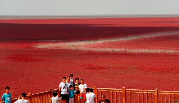 playa-roja-china-29082015-3.jpg