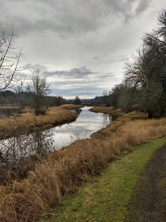 2018-1-18 Kleinlein river mountain.jpg