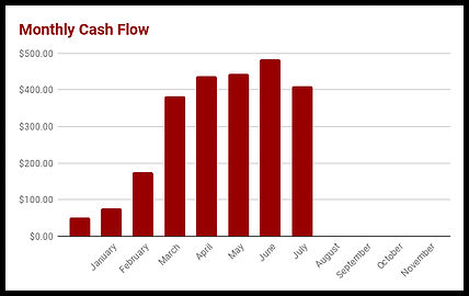 Monthly Cash Flow 2.png