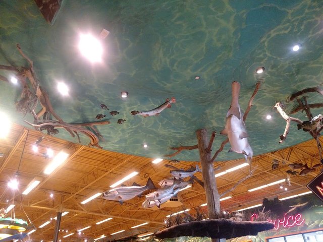 Fish 7.jpg